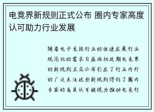 电竞界新规则正式公布 圈内专家高度认可助力行业发展