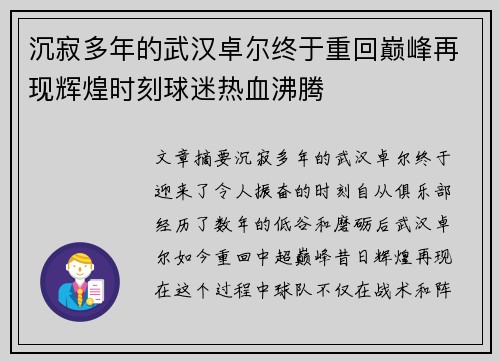 沉寂多年的武汉卓尔终于重回巅峰再现辉煌时刻球迷热血沸腾