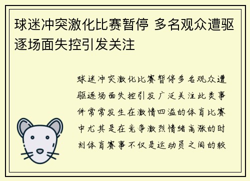 球迷冲突激化比赛暂停 多名观众遭驱逐场面失控引发关注